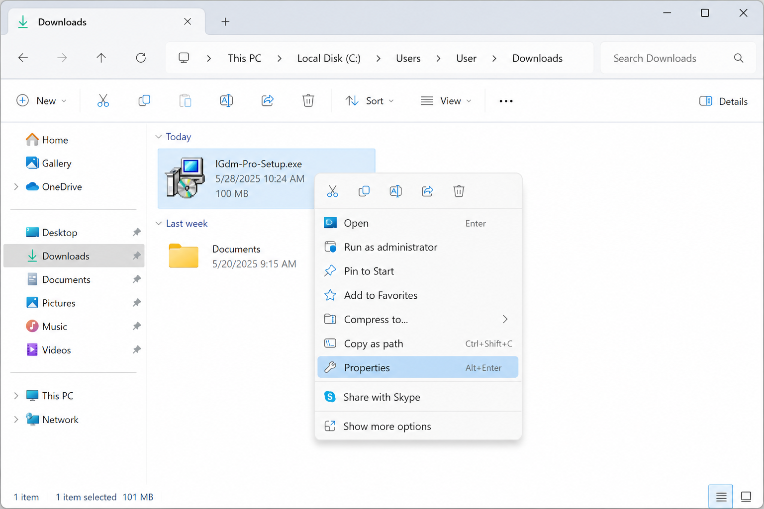 Right-click the IGdm Pro installer and choose Properties
